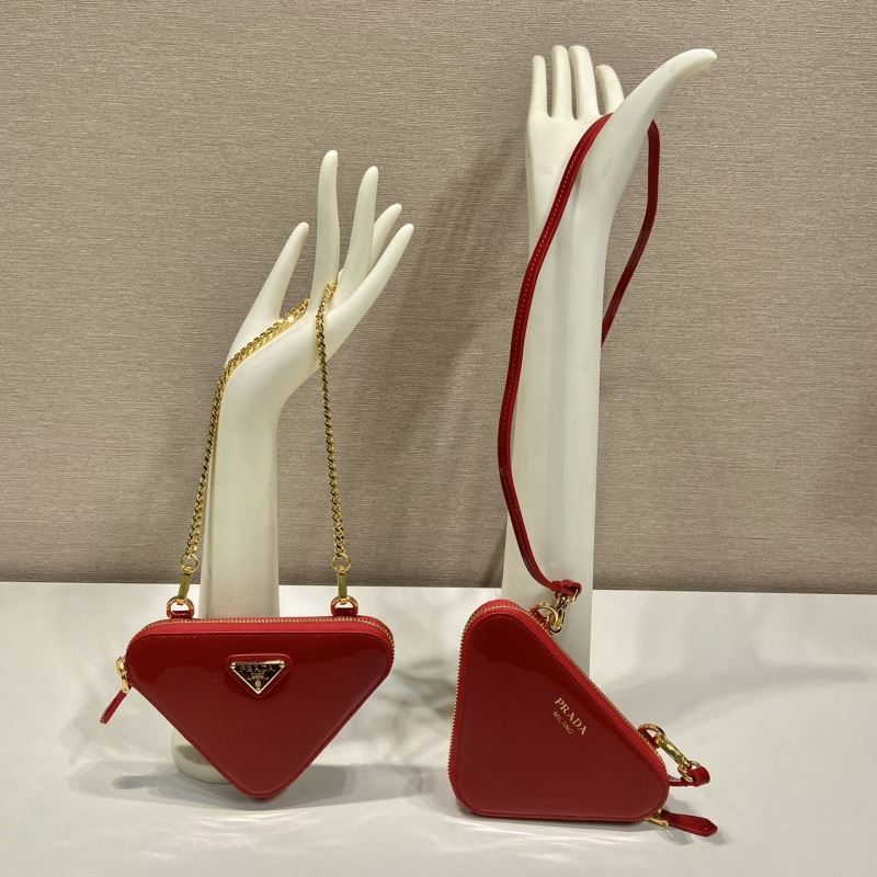 Pra*a triangle pouch